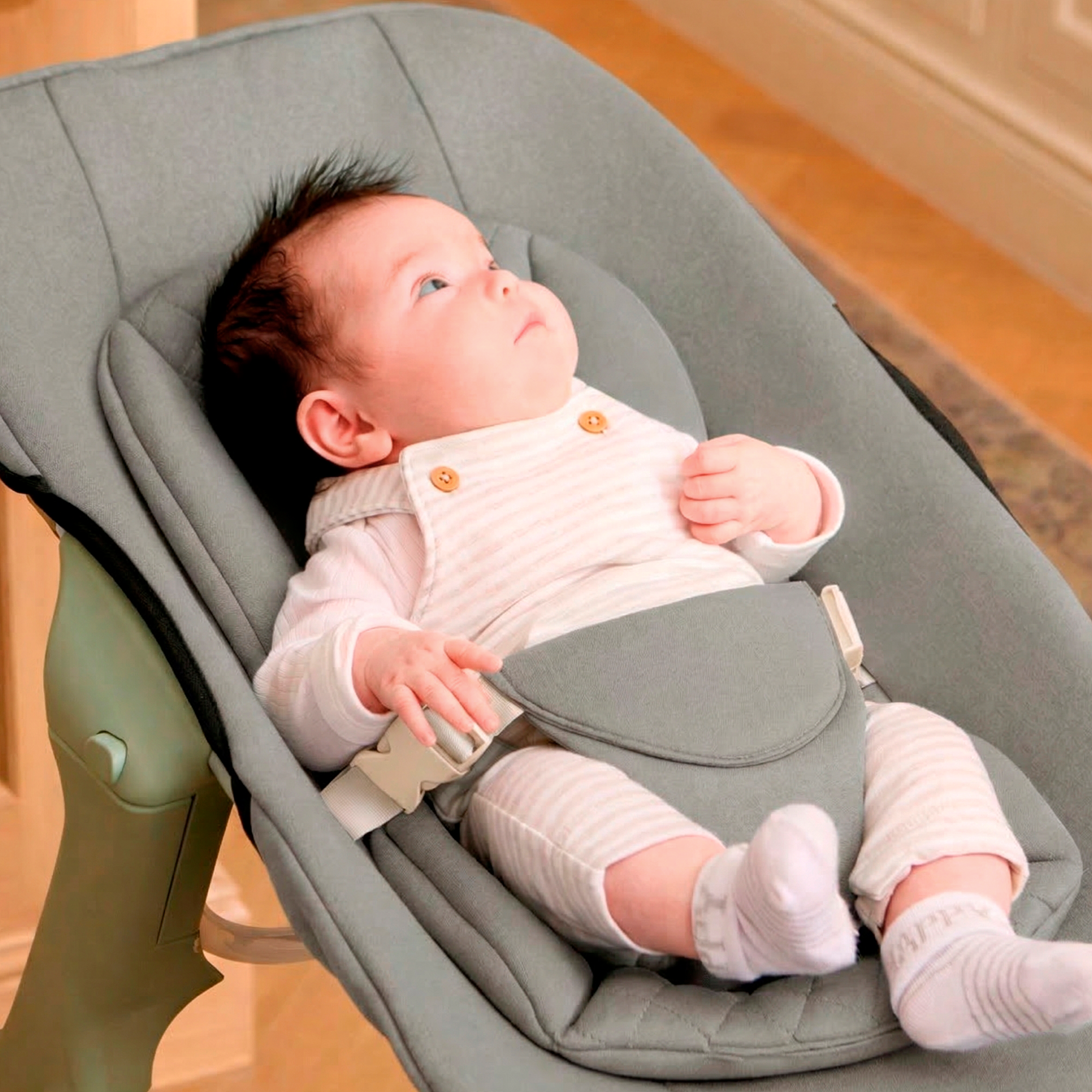 Mash High Chair Bundle - Sage